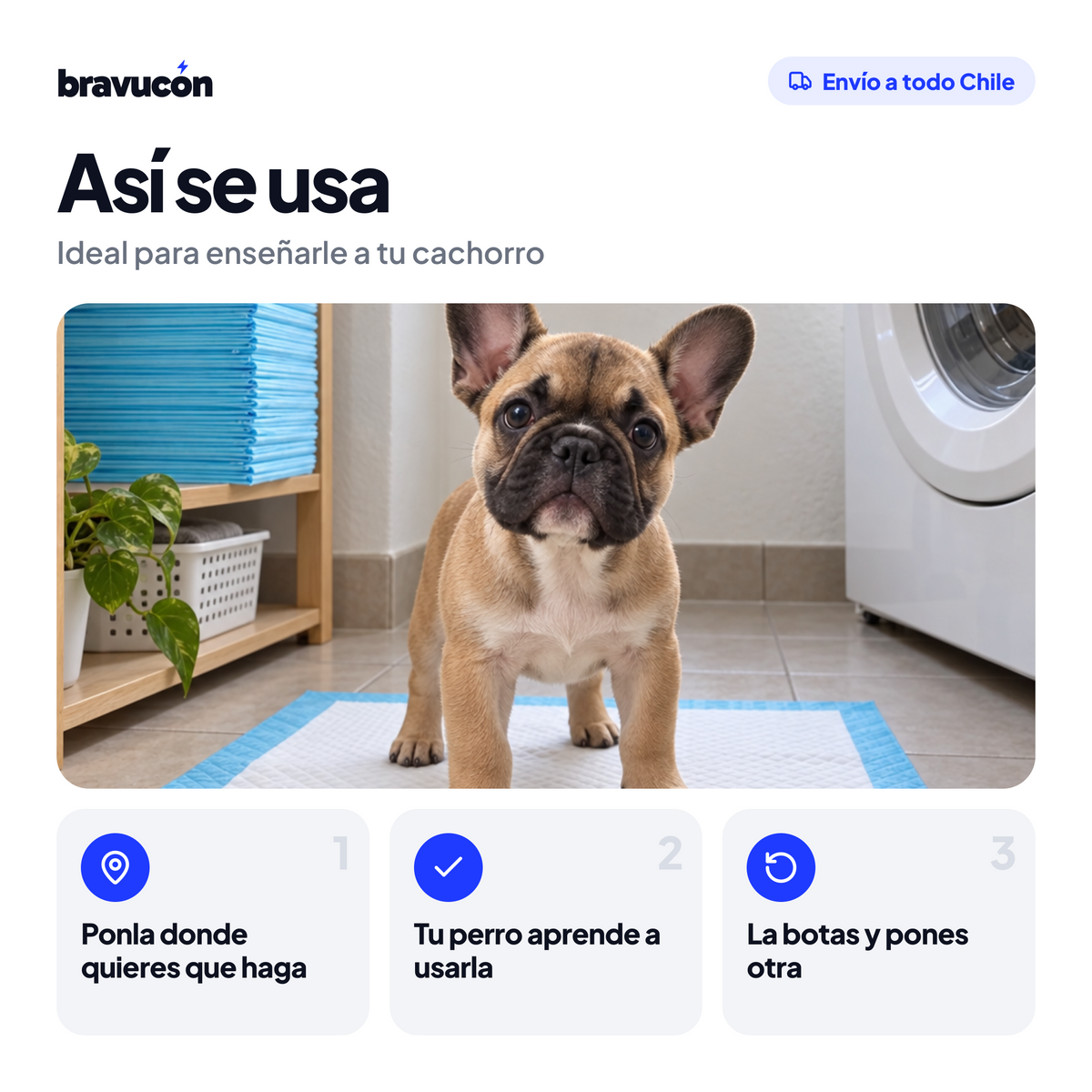 Así se usan las sabanillas para enseñarle a tu cachorro