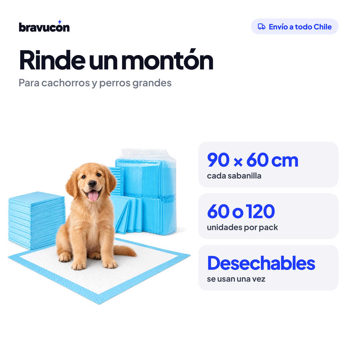 Medidas de las sabanillas para perro
